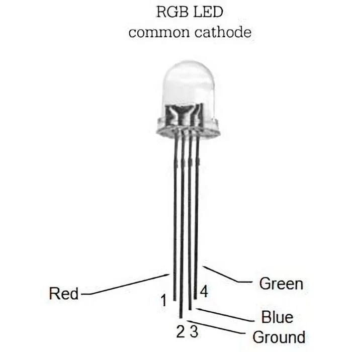 RGB LED (Common Cathode - Clear) (Pack of 10) - Image 3